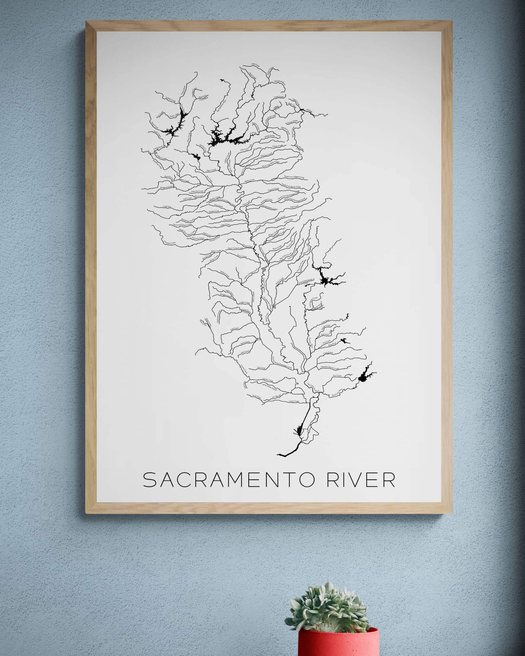 The Sacramento River