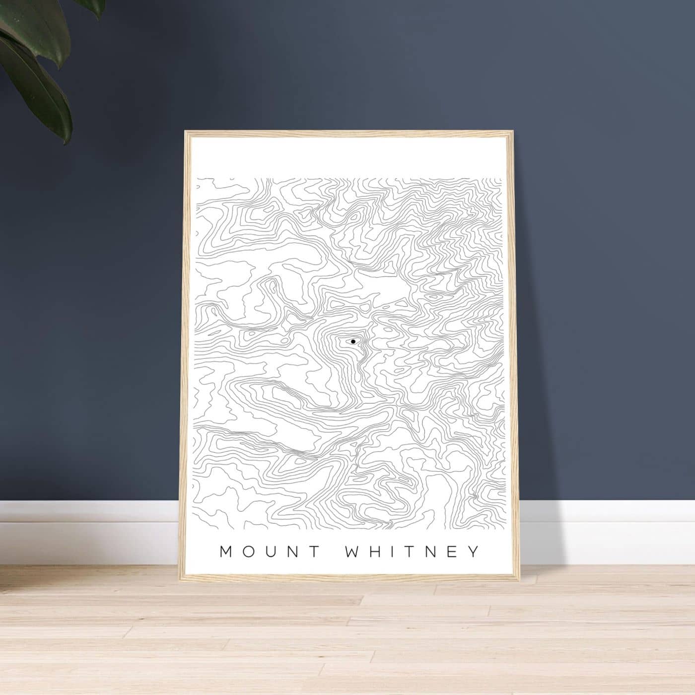 Mount Whitney - Black Lines