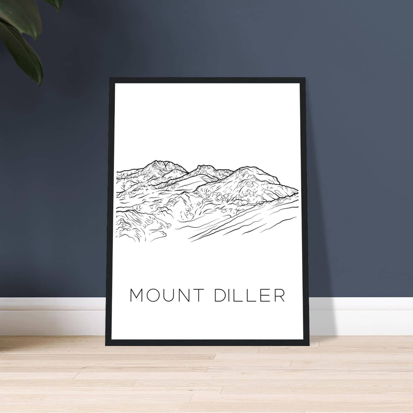 Mount Diller - Black & White