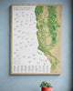 The California Vineyard Map