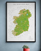 The Irish Surf Map