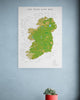 The Irish Surf Map