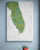 The Florida Surf Map