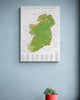 The Irish Pub Map