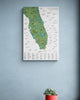 The Florida Golf Map