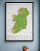 The Irish History Map