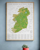 The Irish History Map