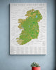 The Irish History Map