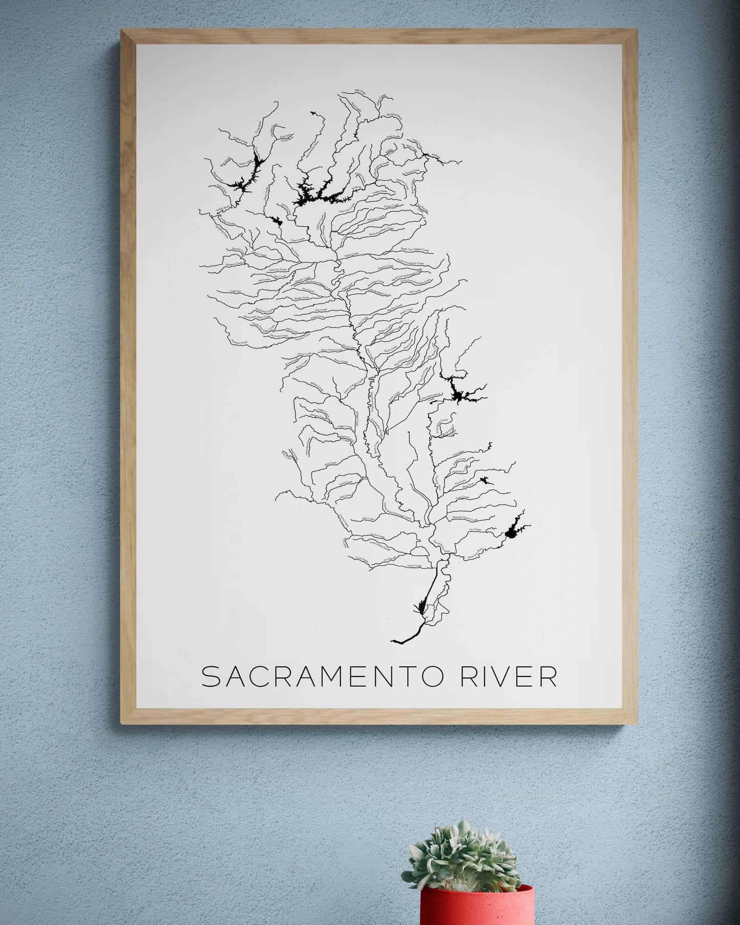 The Sacramento River